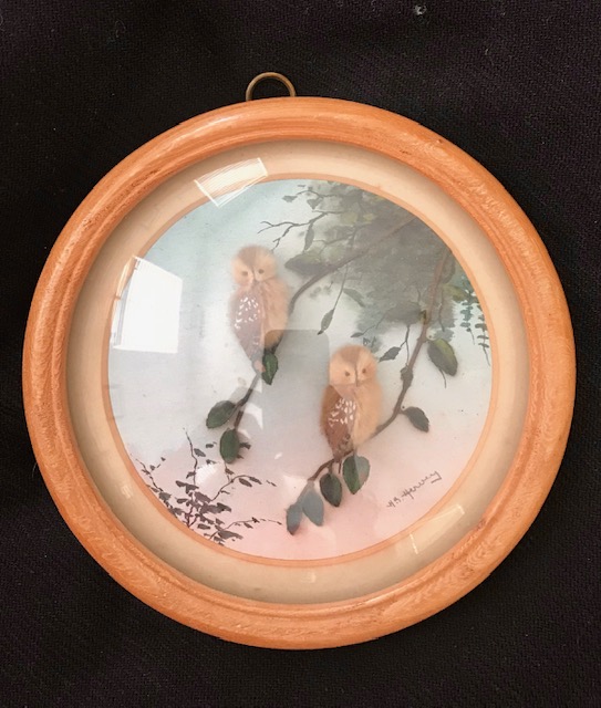 Saw Whet Owls (5-inch)